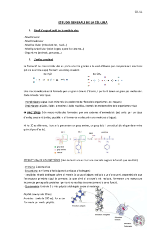Resumen-C8-U1.pdf