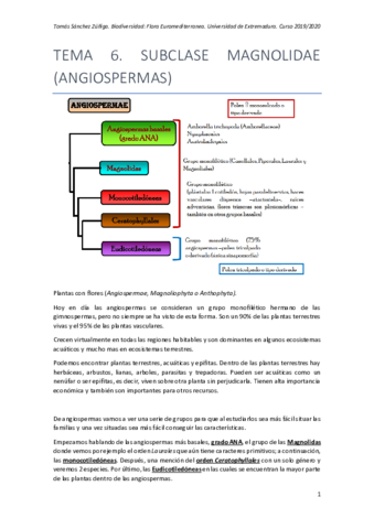 TEMA-6-FLORA.pdf