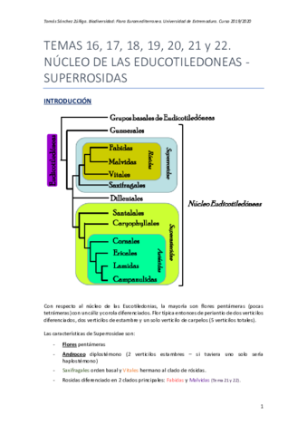 Temas-16-17-18-19-20-21-y-22.pdf