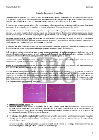 6-RESONANCIA-MAGNETICA.pdf