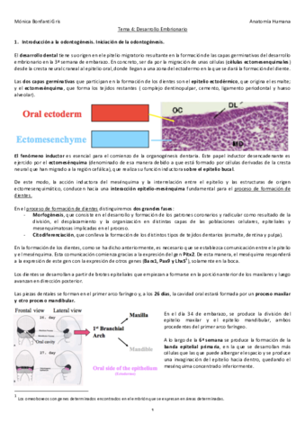 5-DESARROLLO-EMBRIONARIO.pdf