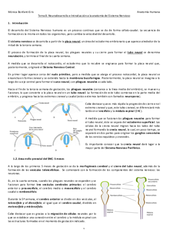 8-DESARROLLO-S.pdf