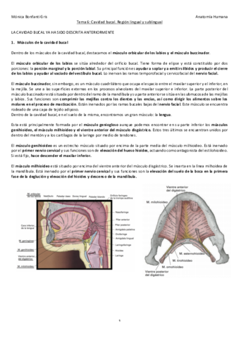 6-CAVIDAD-ORAL.pdf