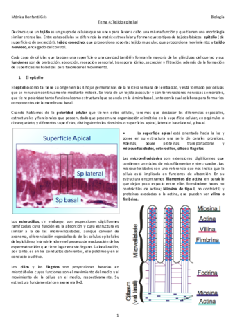 4-TEJIDO-EPITELIAL.pdf