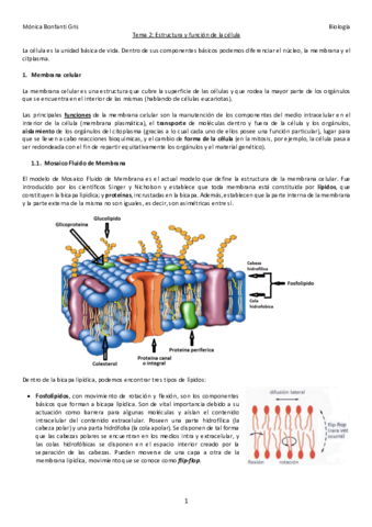 2-ESTRUCTURA-Y-FUNCION-DE-CELULA.pdf