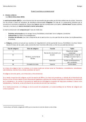 3-CELULA-Y-SU-CONTEXTO-SOCIAL.pdf