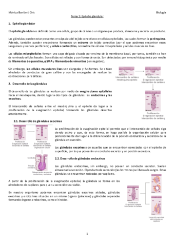 5-TEJIDO-GLANDULAR.pdf