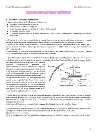 Tema-3-BQ.pdf