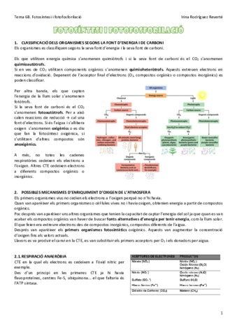 Tema-6B-BQ.pdf