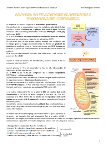 Tema-6A-BQ.pdf