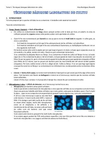 Tema-5-CC.pdf