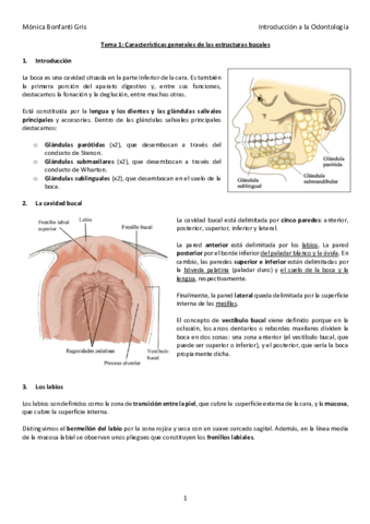 Tema-1.pdf