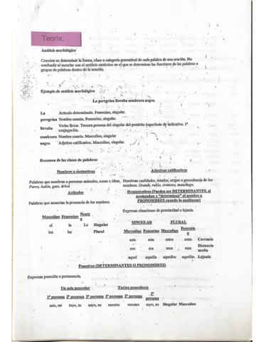 Analisis-morfologico.pdf