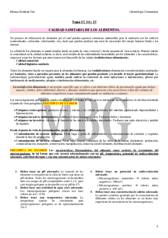 Tema-13.pdf