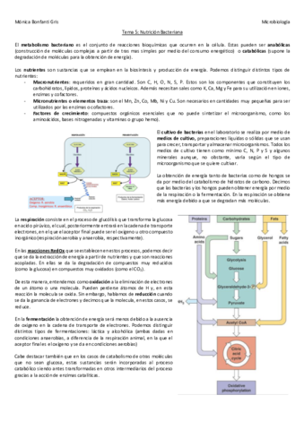 Tema-5.pdf