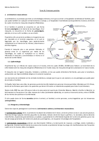 Tema-26.pdf