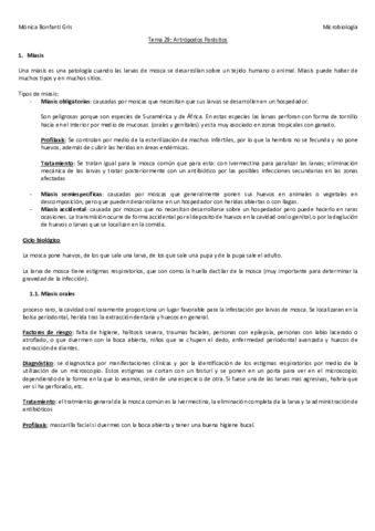 Tema-29.pdf