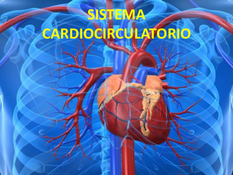 SISTEMA-CIRCULATORIO.pdf