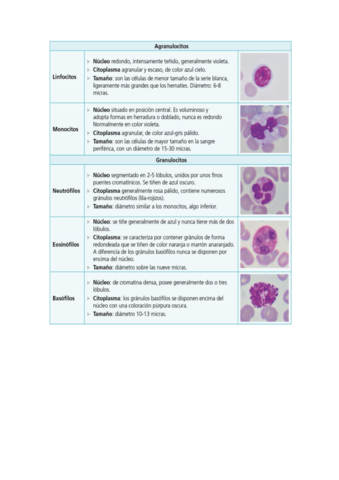 Gestion-Hematologia-Tablas.pdf