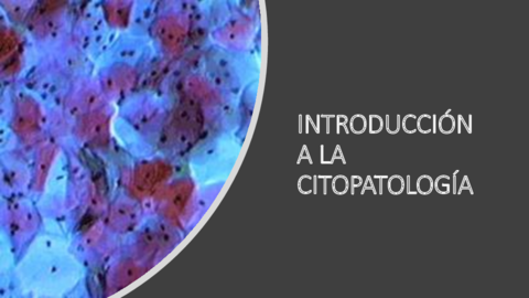 INTRODUCCION-CITOPATOLOGIA.pdf