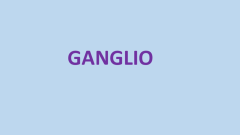 Practico-ganglio.pdf