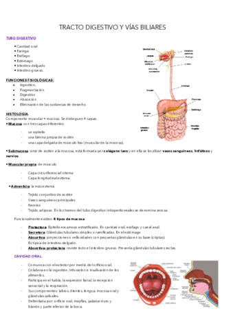 digestivo.pdf