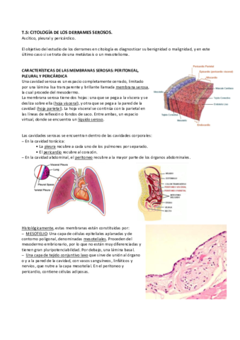 SEROSOS.pdf