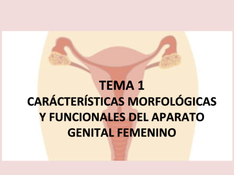 TEMA-1-HISTO-FEMENINO.pdf