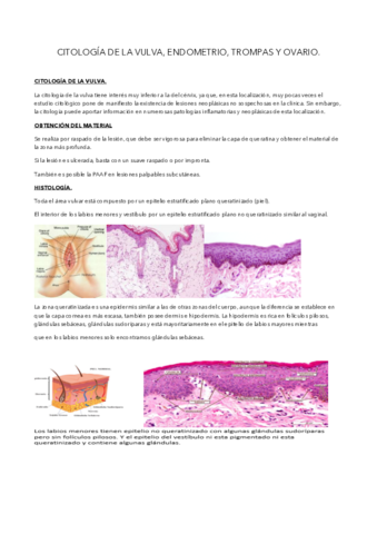 Ud-9-citologia-vulva-endome.pdf