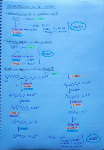 rendimientoenergetico.pdf