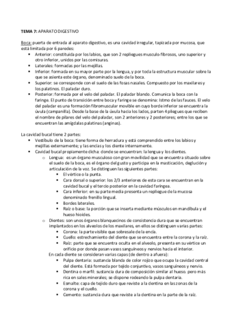 TEMA-7.pdf