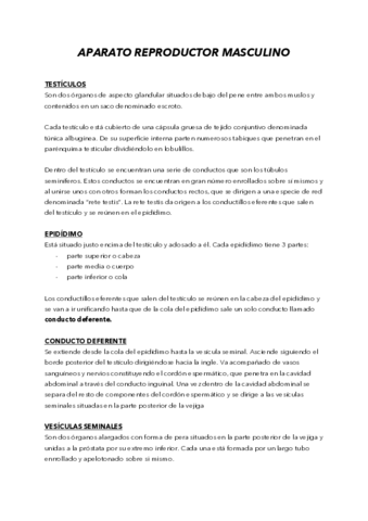 TEMA-10.pdf