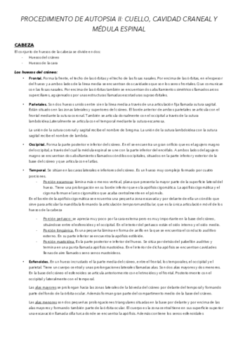 TEMA-13.pdf
