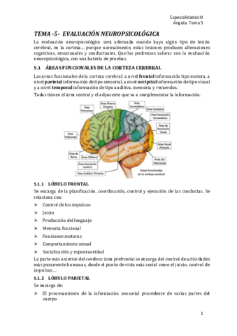 T5-Evaluacion-neuropsicologica.pdf