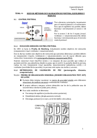 T9-Nuevos-metodos-de-valoracion-de-postura-equilibrio-y-marcha.pdf