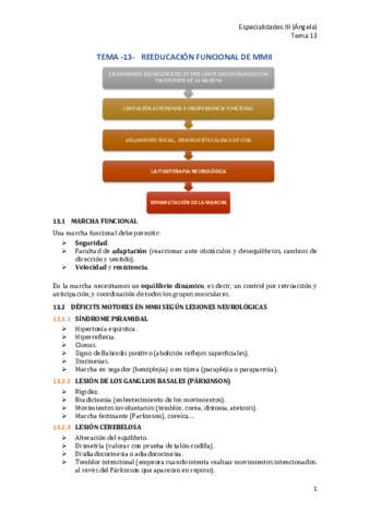 T13-Reeducacion-funcional-de-MMII.pdf