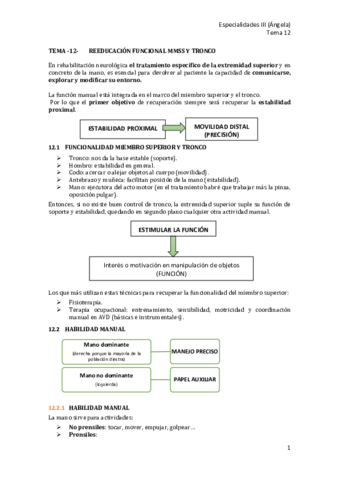 T12-Reeducacion-funcional-MMSS-y-tronco.pdf