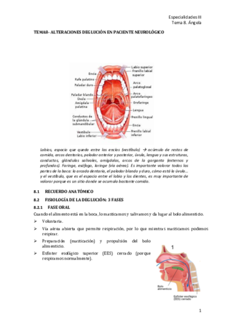 T8-Alteraciones-y-trastornos-de-la-deglucion.pdf