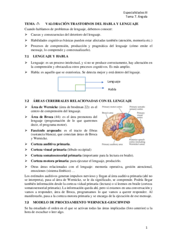 T7-Valoracion-de-trastornos-del-habla-y-del-lenguaje.pdf