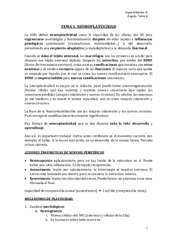 T1-15-Apuntes-Especialidades-III.pdf