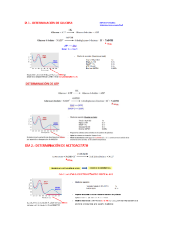 REPASO-EXAMEN-PRACTICAS-BQ-II.pdf