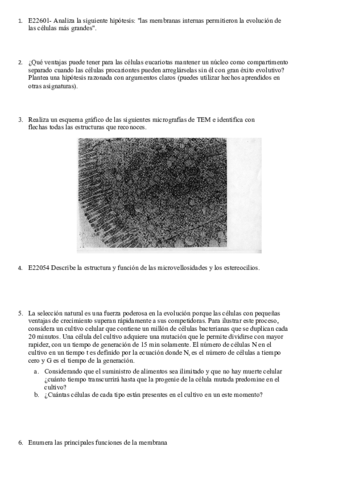 practica-autoevaluacion-cel-preguntas-cortas.pdf