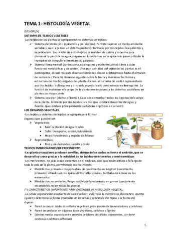 BCT-Tema-1-Histologia-vegetal.pdf