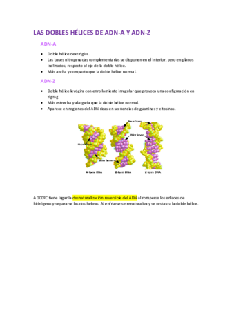 Acidos-nucleicos-2.pdf