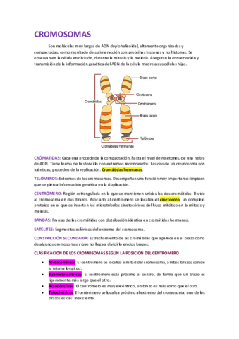 ACIDOS-NUCLEICOS-3.pdf
