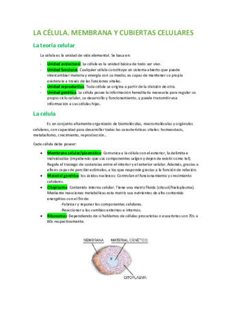 Celula.pdf