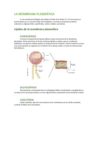 Membranas-y-transporte.pdf