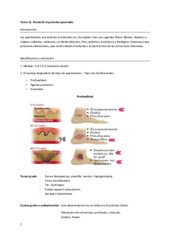 Tema-12.pdf