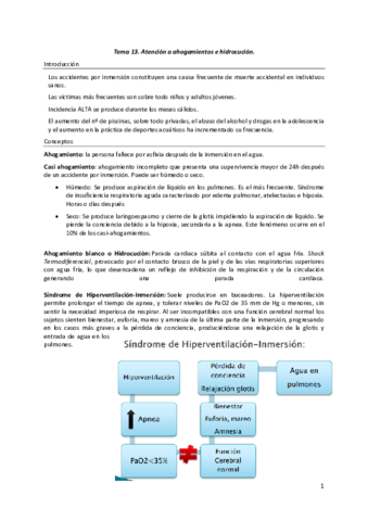 Tema-13.pdf
