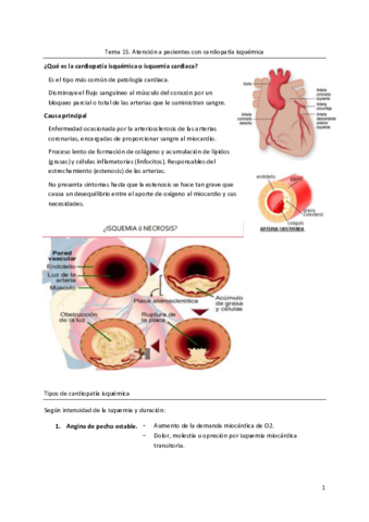 Tema-15.pdf